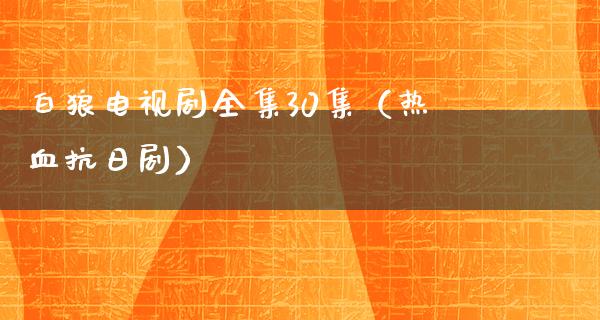 白狼电视剧全集30集（热血**剧）