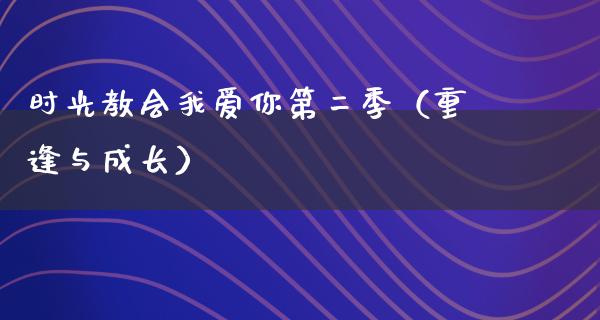 时光教会我爱你第二季（重逢与成长）