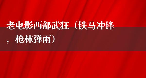 老电影西部武狂（铁马冲锋，枪林弹雨）