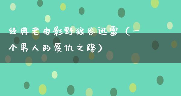 经典老电影野狼谷迅雷（一个男人的复仇之路）