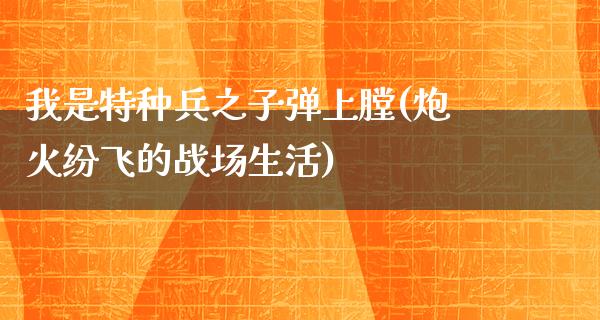 我是特种兵之**上膛(炮火纷飞的战场生活)