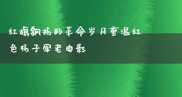 红旗飘扬的革命岁月重温红色杨子军老电影