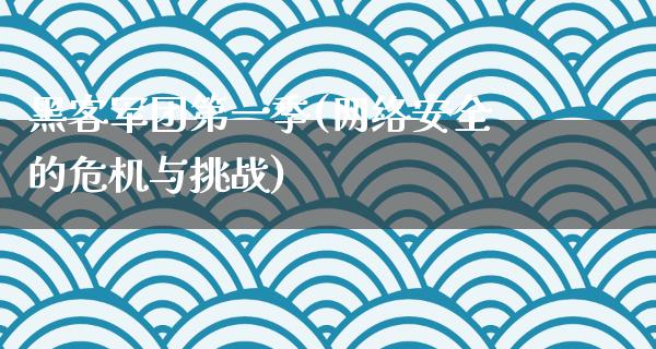 黑客军团第一季(网络安全的危机与挑战)