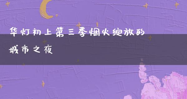 华灯初上第三季烟火绽放的城市之夜