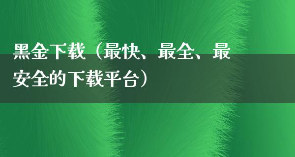 黑金下载（最快、最全、最安全的下载平台）