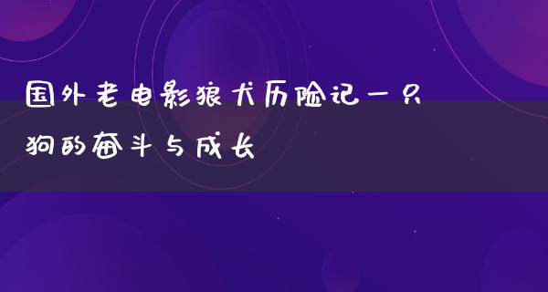 国外老电影狼犬历险记一只狗的奋斗与成长