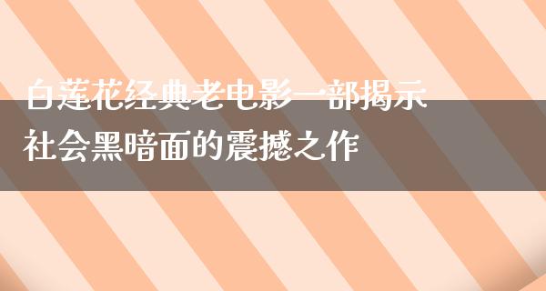 白莲花经典老电影一部揭示社会黑暗面的震撼之作