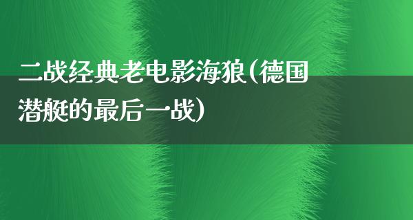 二战经典老电影海狼(德国潜艇的最后一战)