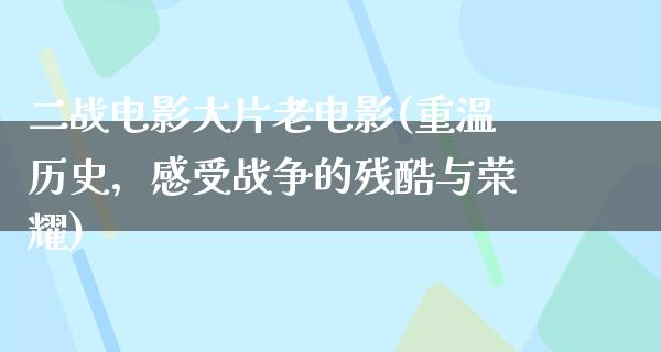 二战电影大片老电影(重温历史，感受战争的残酷与荣耀)