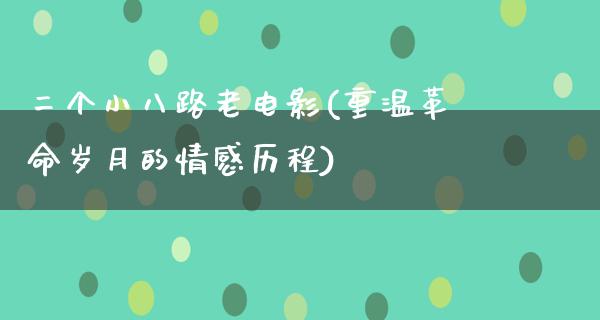 二个小八路老电影(重温革命岁月的情感历程)