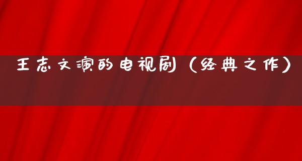 王志文演的电视剧（经典之作）