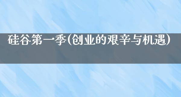 硅谷第一季(创业的艰辛与机遇)