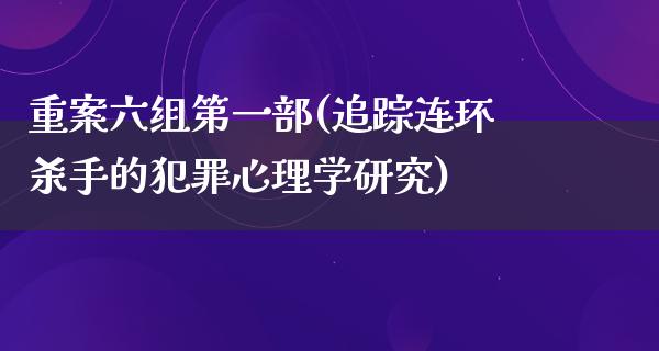 重案六组第一部(追踪连环**的犯罪心理学研究)