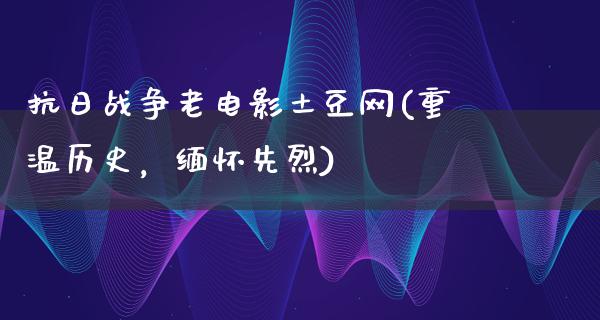 抗日战争老电影土豆网(重温历史，缅怀先烈)