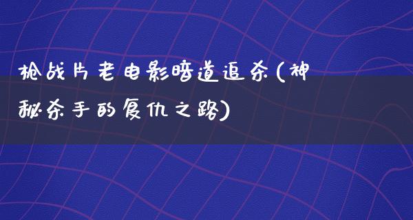 枪战片老电影暗道追杀(神秘杀手的复仇之路)