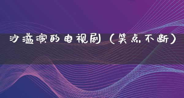 沙溢演的电视剧（笑点不断）