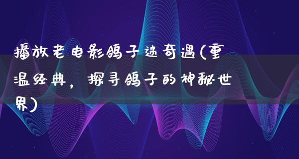 播放老电影鸽子迷奇遇(重温经典，探寻鸽子的神秘世界)