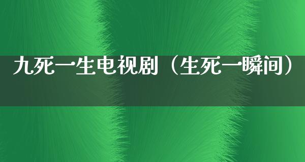 九死一生电视剧（生死一瞬间）