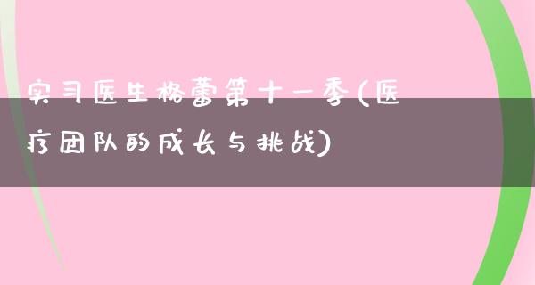 实习医生格蕾第十一季(医疗团队的成长与挑战)