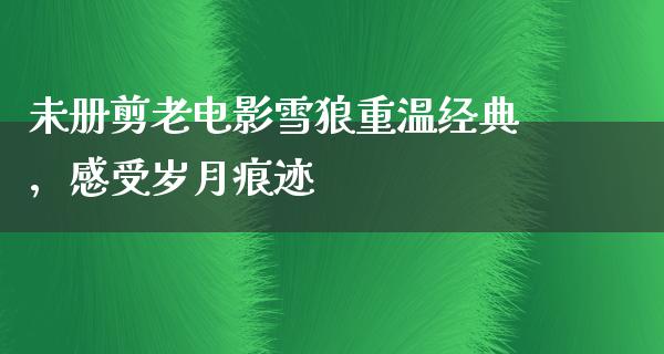 未册剪老电影雪狼重温经典，感受岁月痕迹