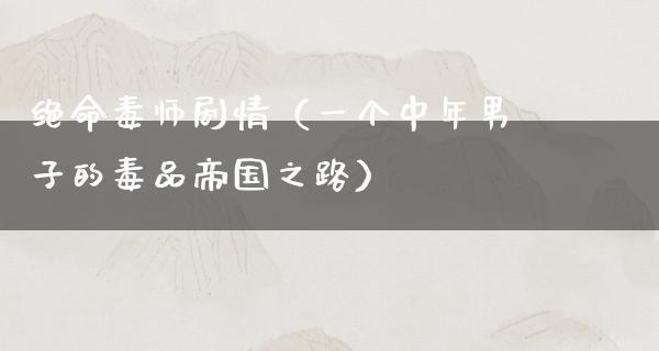 绝命毒师剧情（一个中年男子的**帝国之路）