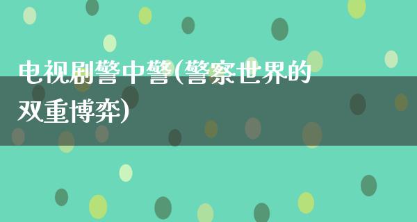 电视剧警中警(**世界的双重博弈)