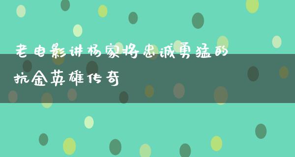 老电影讲杨家将忠诚勇猛的抗金英雄传奇