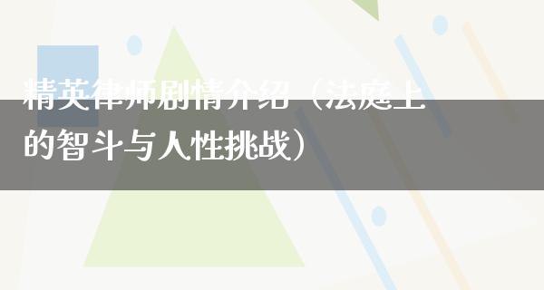 精英律师剧情介绍（法庭上的智斗与人性挑战）