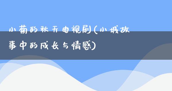 小菊的秋天电视剧(小城故事中的成长与情感)