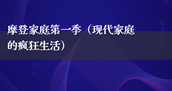 摩登家庭第一季（现代家庭的疯狂生活）