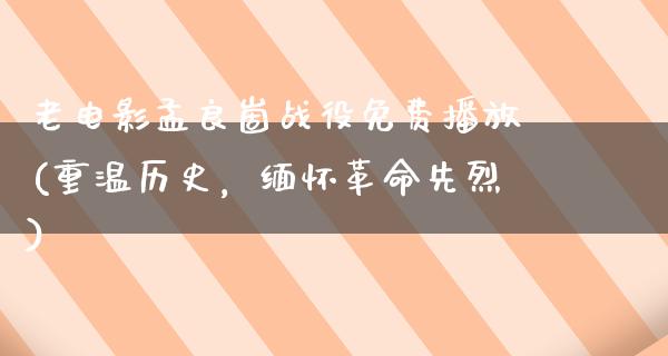 老电影孟良崮战役免费播放(重温历史，缅怀革命先烈)