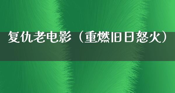 复仇老电影（重燃旧日怒火）