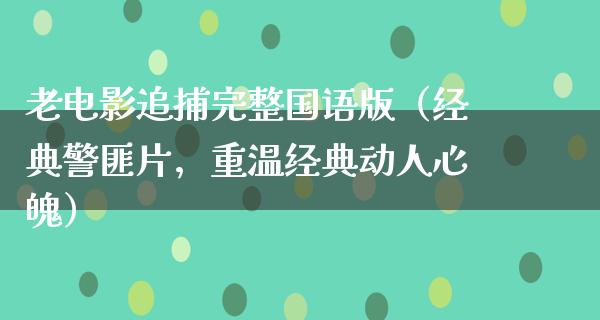 老电影追捕完整国语版（经典警匪片，重温经典动人心魄）