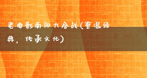 老电影南阳大会战(重温经典，传承文化)