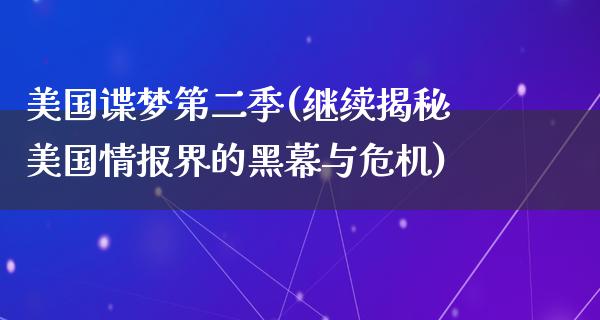 美国谍梦第二季(继续揭秘美国情报界的黑幕与危机)