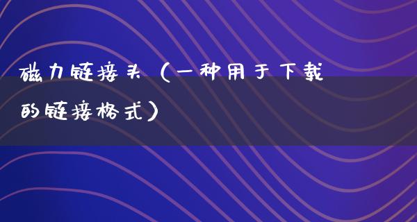 磁力链接头（一种用于下载的链接格式）