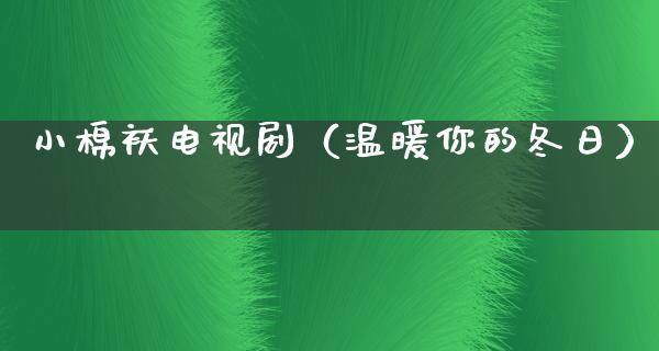 小棉袄电视剧（温暖你的冬日）