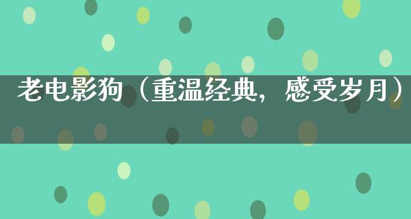 老电影狗（重温经典，感受岁月）