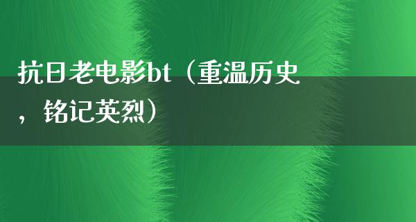 抗日老电影bt（重温历史，铭记英烈）