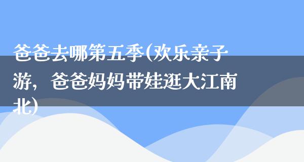 爸爸去哪第五季(欢乐亲子游，爸爸妈妈带娃逛大江南北)