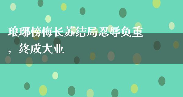 琅琊榜梅长苏结局*辱负重，终成大业