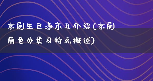 京剧生旦净末丑介绍(京剧角色分类及特点概述)