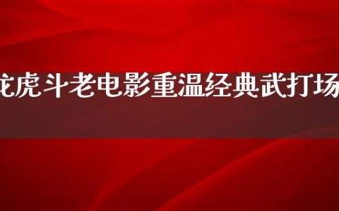 龙虎斗老电影重温经典武打场面