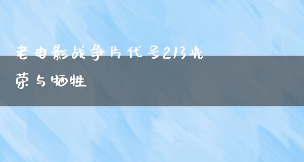 老电影战争片代号213光荣与牺牲