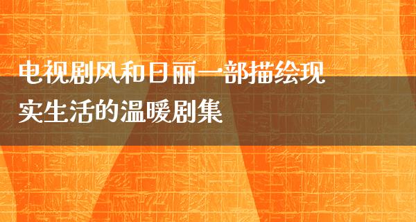 电视剧风和日丽一部描绘现实生活的温暖剧集