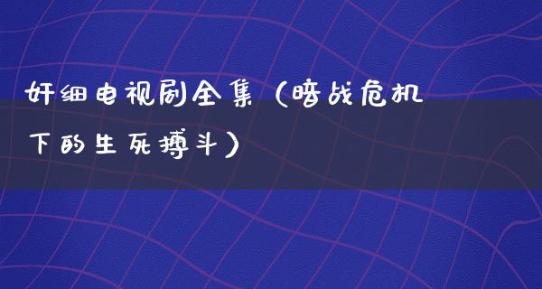 *细电视剧全集（暗战危机下的生死搏斗）