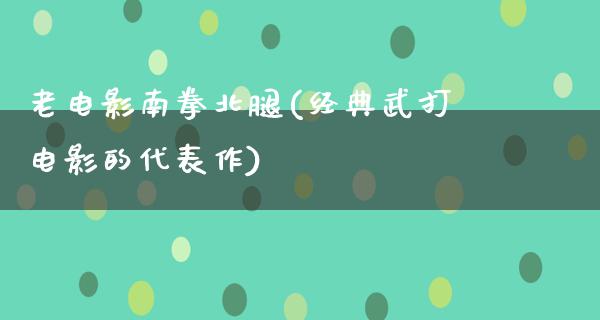 老电影南拳北腿(经典武打电影的代表作)