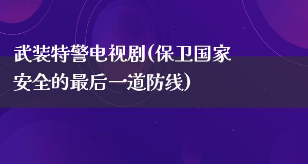 武装特警电视剧(保卫****的最后一道防线)