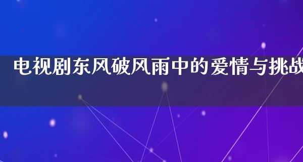 电视剧东风破风雨中的爱情与挑战