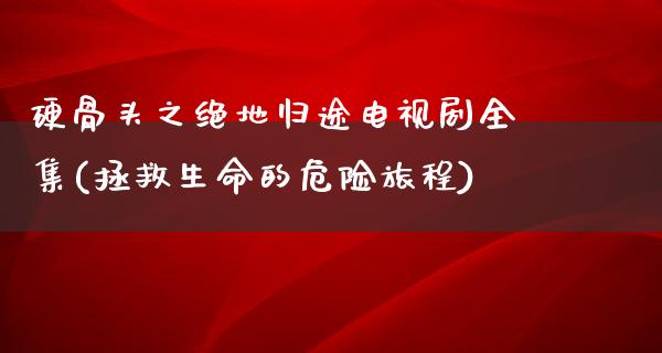 硬骨头之绝地归途电视剧全集(拯救生命的危险旅程)